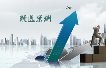 精选案例
