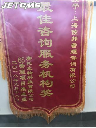 6S管理咨询公司荣获最佳咨询服务机构称号
